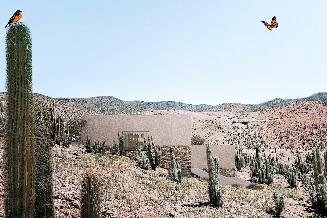 Puclaro - Galería 3